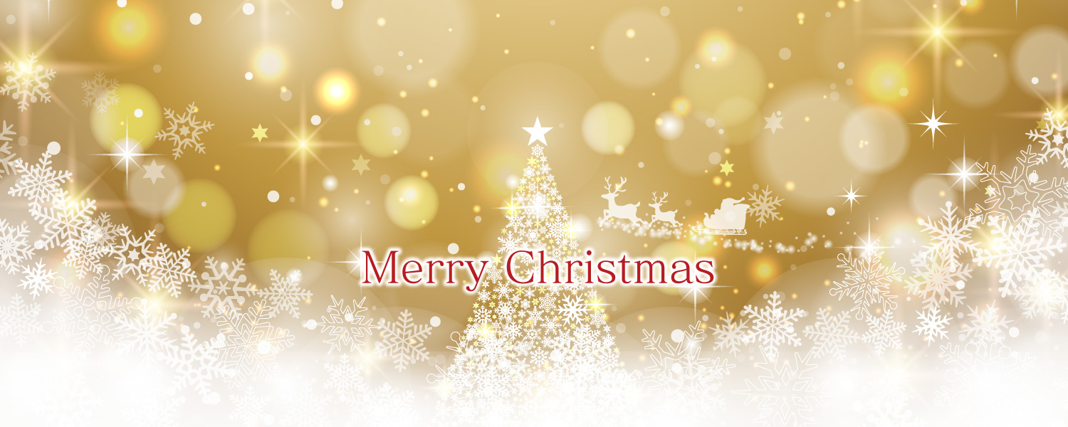 Christmas Special Course